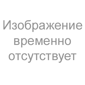 Увеличить Гортензия метельчатая Пинкачу